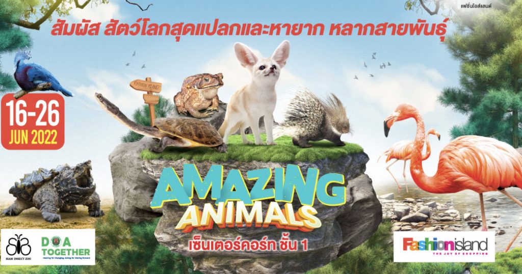 16–26 มิถุนายน 2565 ชวนไปสัมผัสสัตว์โลกมหัศจรรย์แบบใกล้ชิด ในงาน AMAZING ANIMALS 