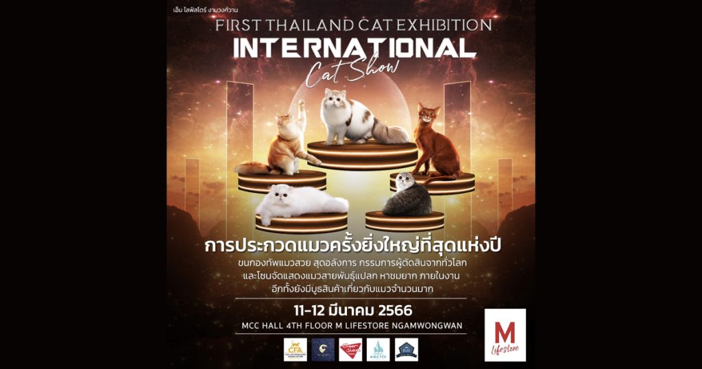 11-12 มีนาคม 2566 เตรียมพบกับการประกวดแมวครั้งยิ่งใหญ่ที่สุดแห่งปี ในงาน First Thailand Cat Exhibition International Cat Show 