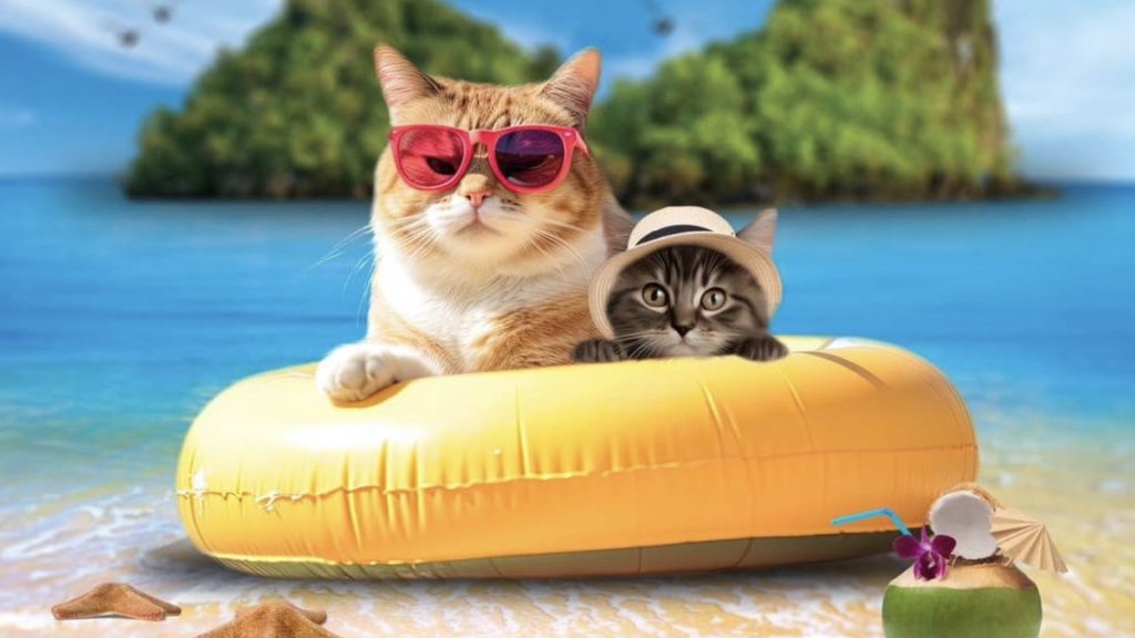 23-26 ก.พ.67 และ 2-3 มี.ค.67 เตรียมพบกับงาน Summer Cats on the Beach